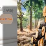 همه چیز درباره چوب راش