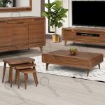 جلومبلی و میزعسلی مدل v210